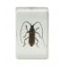 3D Bug Specimen Kit Nr.1