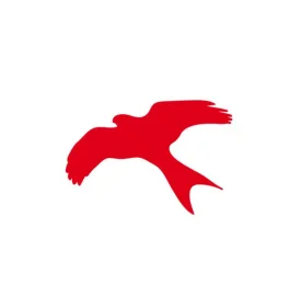 Kite Optics